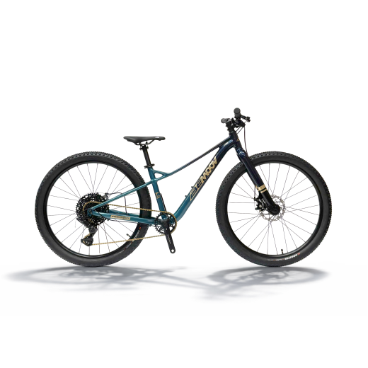 BEMOOV T26 : VTT enfant 26 pouces