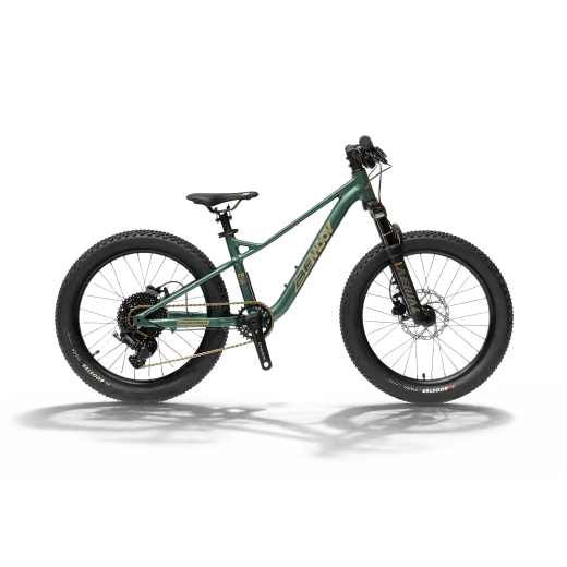 BEMOOV TS20 : VTT suspendu enfant 20 pouces
