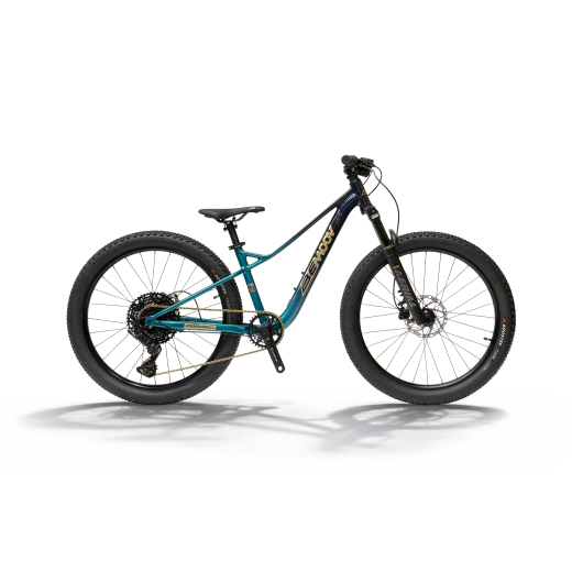 BEMOOV TS24 : VTT suspendu enfant 24 pouces