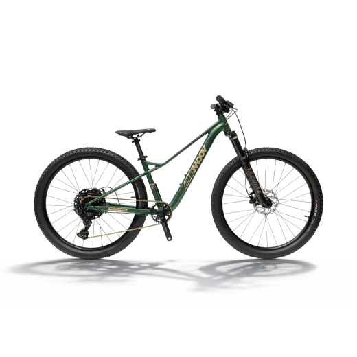 BEMOOV TS26 : VTT suspendu enfant 26 pouces