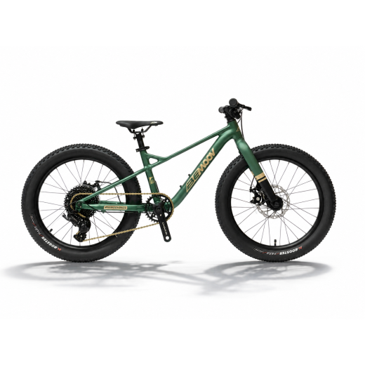 BEMOOV T20 : VTT enfant 20 pouces