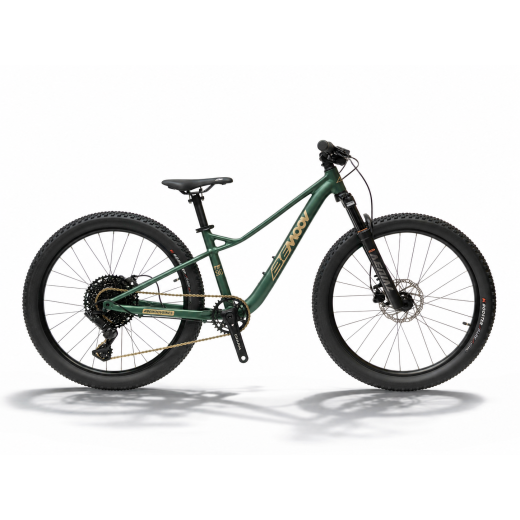 BEMOOV TS24 : VTT suspendu enfant 24 pouces