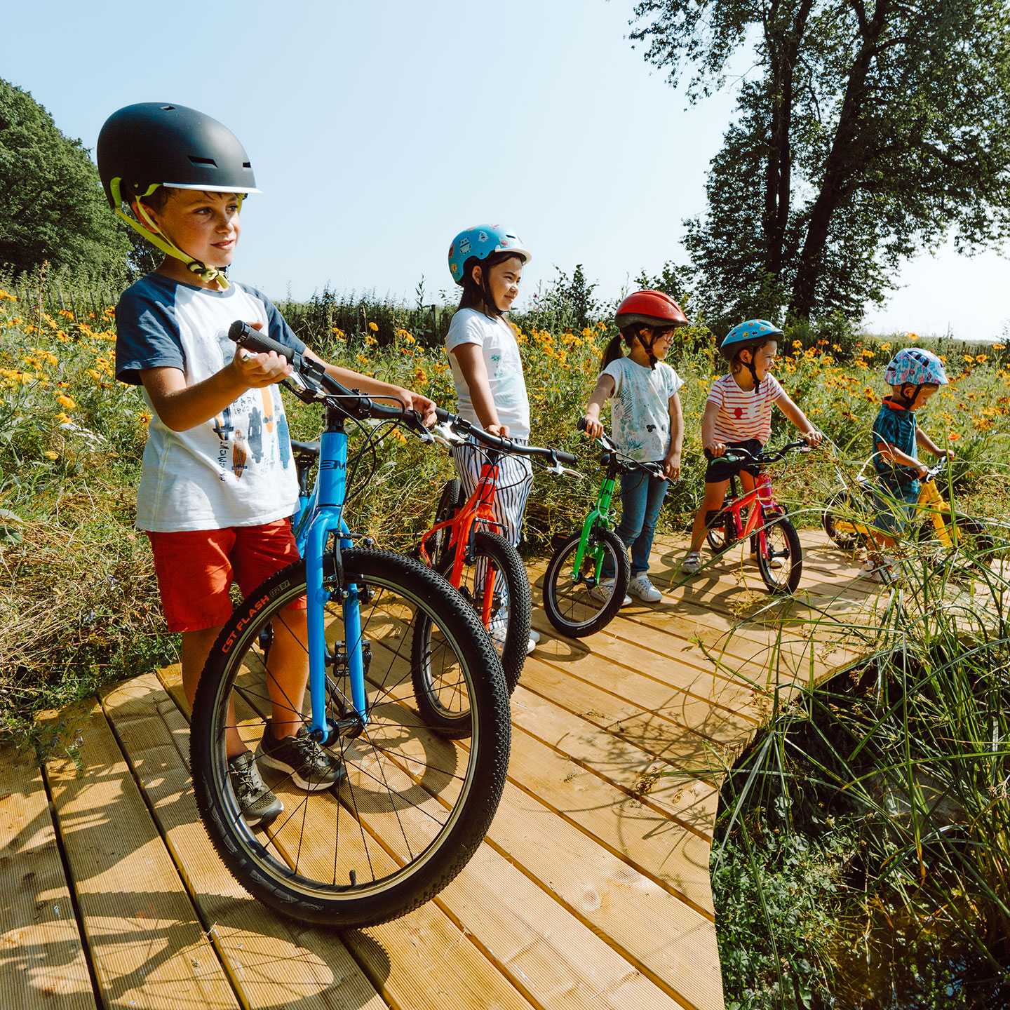 Draisienne et vélos d’enfant BEMOOV : Fournisseurs d’équilibre
